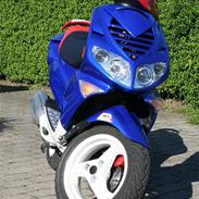 Peugeot Speedfight 2 *Projekt*