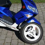 Peugeot Speedfight 2 *Projekt*