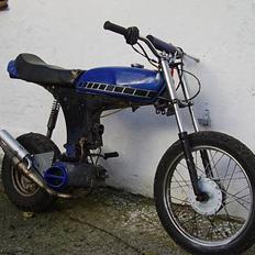 Yamaha Vildkatten Byttet til Zip