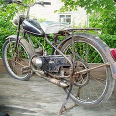 Veteraner Rex Gladiator SOLGT