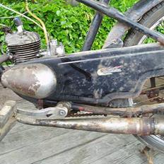 Veteraner Rex Gladiator SOLGT