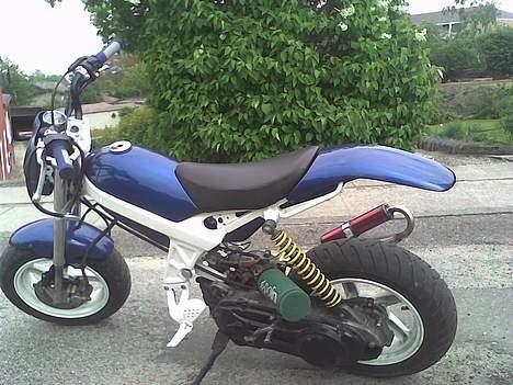 Suzuki Street magic - Byttet væk billede 6