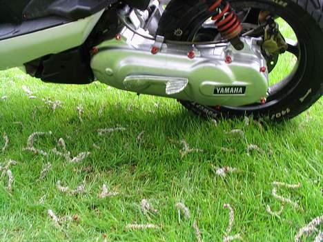 Yamaha Aerox(SOLGT) billede 4