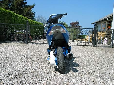 Aprilia Sonic billede 6