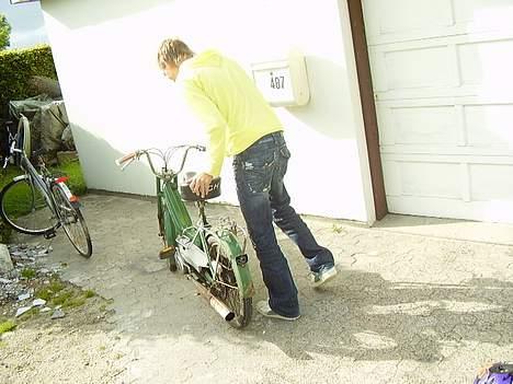 Puch Maxi P - Ses Prebbe har desværre ikk flere billeder . billede 9