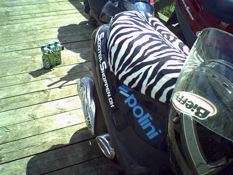 PGO cometSolgt! :D - Det satme ZEBRA billede 19