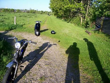 Yamaha                     FS AC billede 18