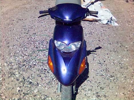 Honda sfx << brormands >> billede 4