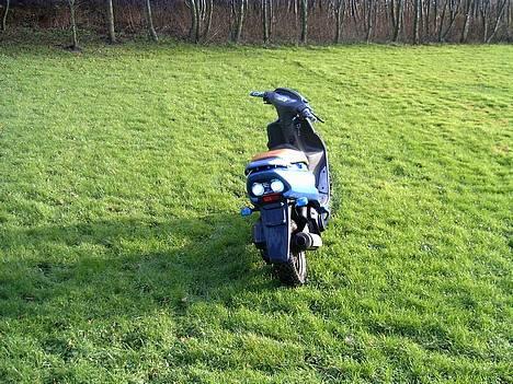 Honda sfx sport billede 6