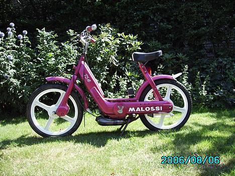 Vespa ciao "Malossi" (SOLGT) billede 4