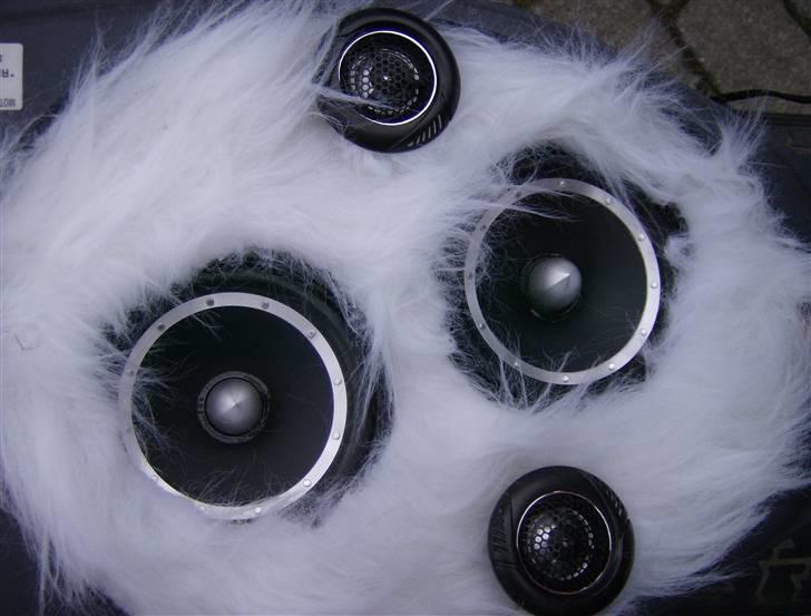 PGO hot 50 (NU TIL SALG) - anlæg ;) spiller nice!! billede 18