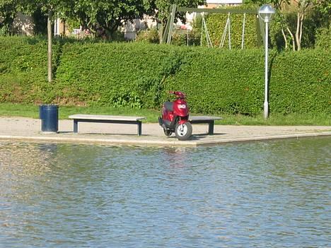 PGO hot 50 (NU TIL SALG) - gammelt billede 19