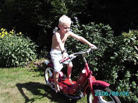 Vespa ciao "Malossi" (SOLGT) - min bette bror hehe..! billede 9