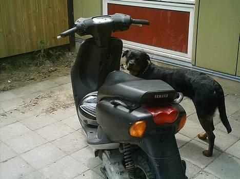 Yamaha neos (solgt) - før billede 7