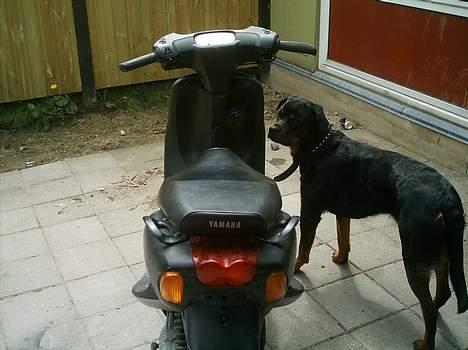 Yamaha neos (solgt) - før billede 8