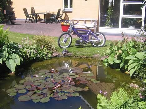 Puch Maxi K *SOLGT* billede 10