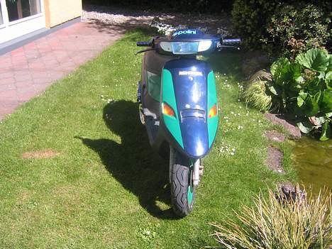 PGO Comet *SOLGT* billede 2