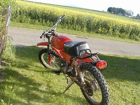 Puch pioneer billede 8