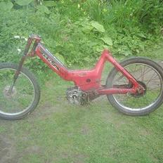 Puch maxi K Slogt