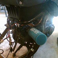 Benelli 491 "TIL SALG"