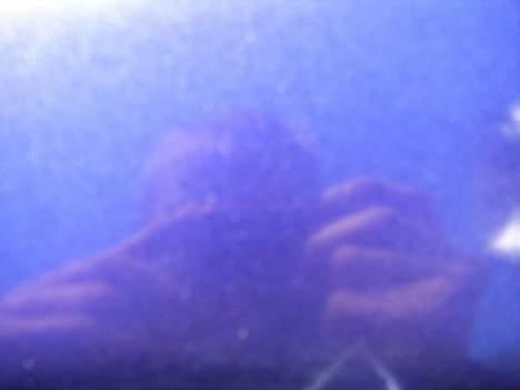 Piaggio ciao/bravo (solgt) - blankt billede 14