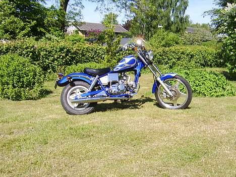 Kinroad princer solgt billede 5