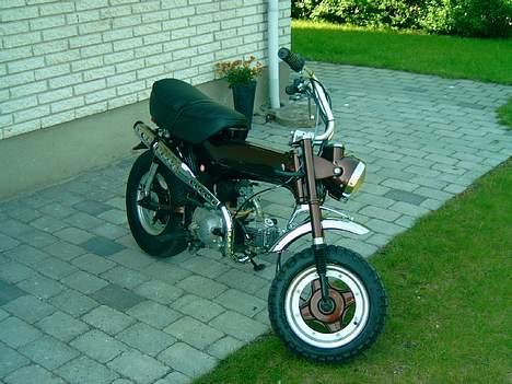 Honda Dax billede 1