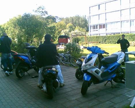 Piaggio nrg extreme billede 8