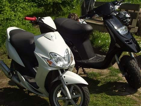 Piaggio Typhoon byttet  - Dengang den var helt ny :) billede 1