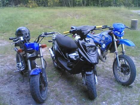 Suzuki Smx billede 12