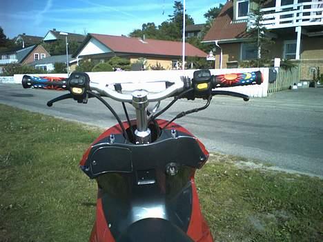 Benelli 491 *SOLGT* billede 5