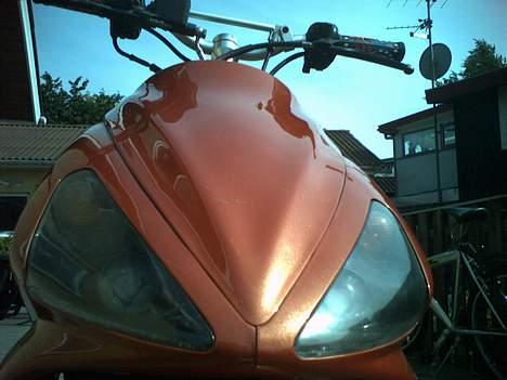 Benelli 491 *SOLGT* billede 6