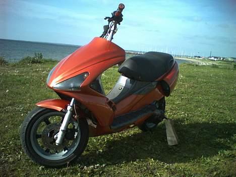 Benelli 491 *SOLGT* billede 7