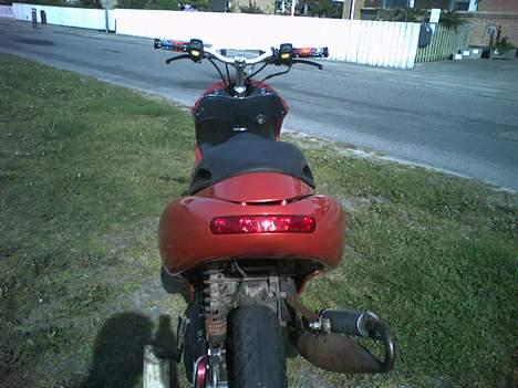 Benelli 491 *SOLGT* billede 8