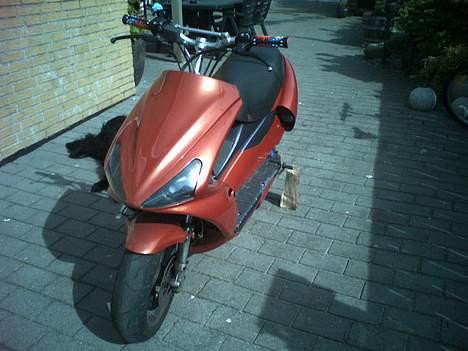 Benelli 491 *SOLGT* billede 10