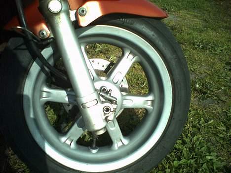 Benelli 491 *SOLGT* billede 11