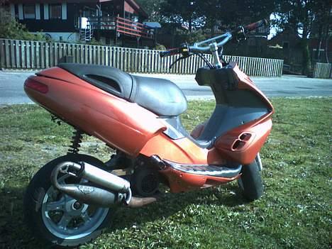 Benelli 491 *SOLGT* billede 12