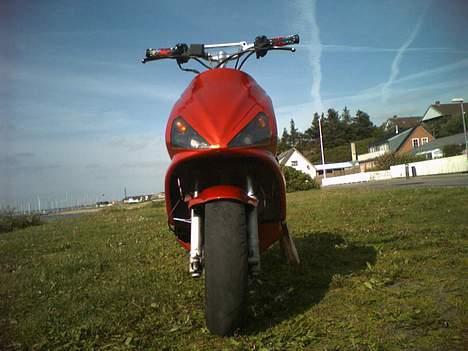 Benelli 491 *SOLGT* billede 13