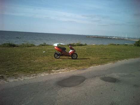 Benelli 491 *SOLGT* billede 15