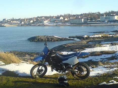Suzuki Smx (SOLGT) - Smukt :) Hun er meget fotogen :$ billede 4