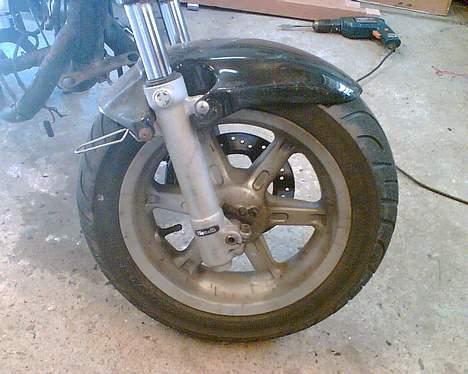 Benelli 491 "TIL SALG" billede 4