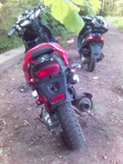 PGO pmx sports   tilsalg byd billede 14