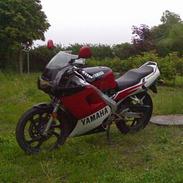Yamaha TZR 50 (SOLGT)