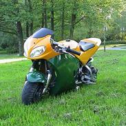 MiniBike kawasaki ninja