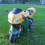 MiniBike kawasaki ninja