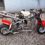 MiniBike kawasaki ninja