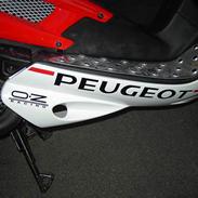 Peugeot Speedfight 2 307 WRC