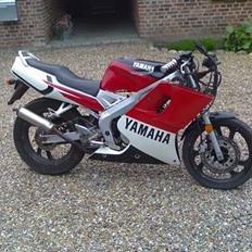 Yamaha TZR 50 (SOLGT)