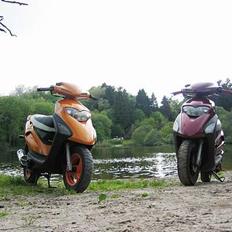 Honda SFX ----{stjålet}