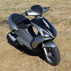 Benelli 491st // SOLGT